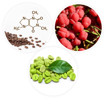 no unhealthy stimulants