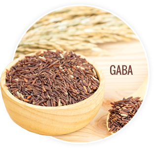 gaba