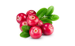 purple list image20